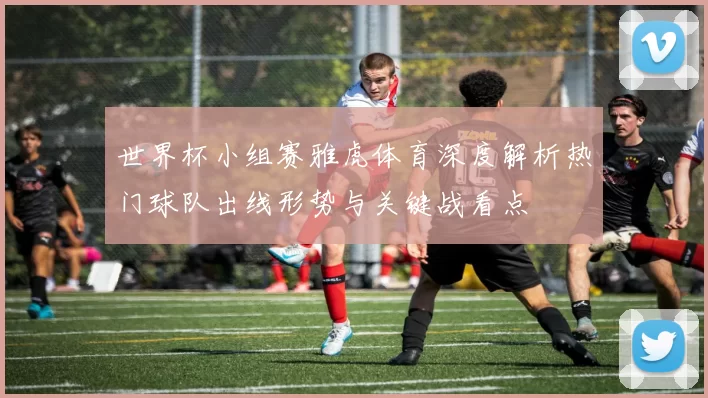 世界杯小组赛雅虎体育深度解析热门球队出线形势与关键战看点