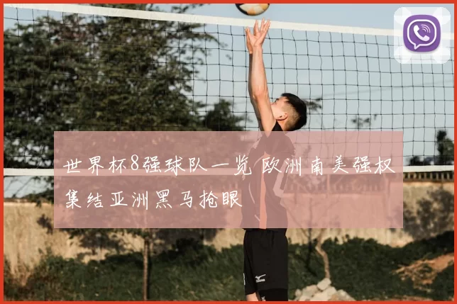 世界杯8强球队一览 欧洲南美强权集结亚洲黑马抢眼